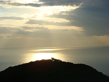 20081220_443_thumb.jpg