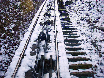 20080105_k065_thumb.jpg