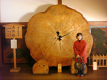 20080105_k135_thumb.jpg