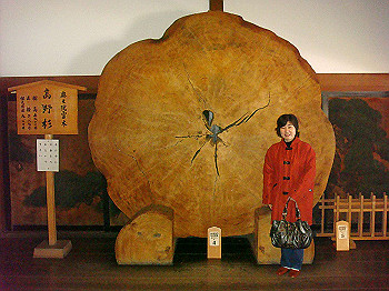20080105_k140_thumb.jpg