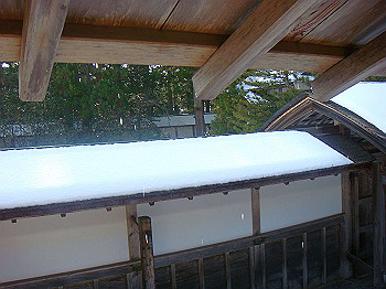 20080105_k165_thumb.jpg