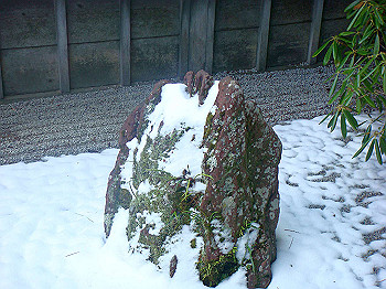 20080105_k195_thumb.jpg