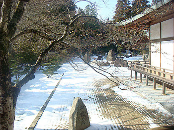 20080105_k215_thumb.jpg
