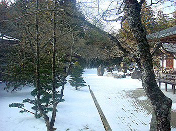 20080105_k255_thumb.jpg