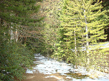 20080105_k305_thumb.jpg
