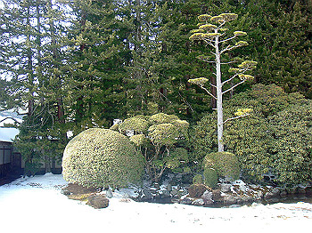 20080105_k325_thumb.jpg