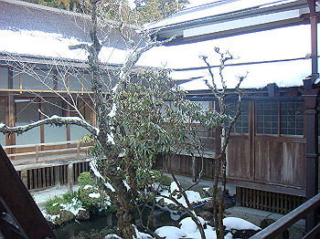 20080105_k335_thumb.jpg