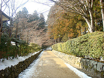 20080105_k435_thumb.jpg