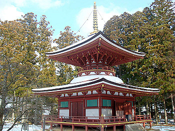 20080105_k445_thumb.jpg