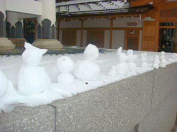 20080105_k495_thumb.jpg