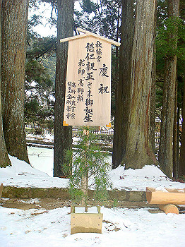 20080105_k510_thumb.jpg
