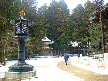 20080105_k515_thumb.jpg