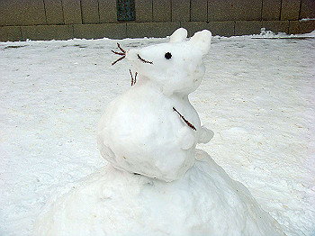 20080105_k540_thumb.jpg