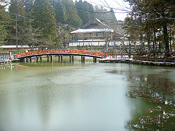 20080105_k545_thumb.jpg