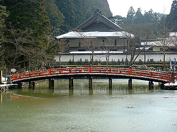 20080105_k555_thumb.jpg