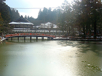 20080105_k560_thumb.jpg