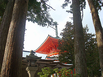 20080105_k565_thumb.jpg