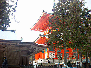 20080105_k570_thumb.jpg