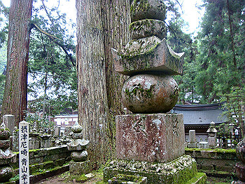 20080706_0220_thumb.jpg