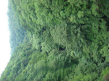 20080725_0080_thumb.jpg