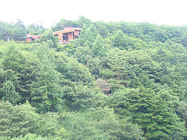 20080725_0110_thumb.jpg
