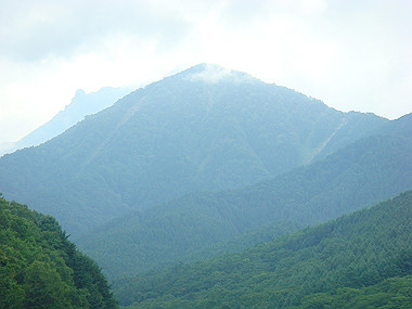 20080725_0130_thumb.jpg