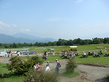 20080725_0290_thumb.jpg