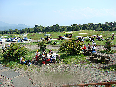 20080725_0300_thumb.jpg