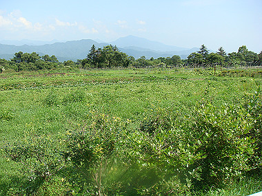 20080725_0320_thumb.jpg