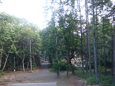 20080725_0570_thumb.jpg
