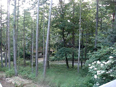 20080725_0580_thumb.jpg