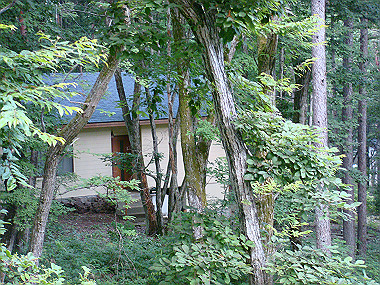 20080725_0640_thumb.jpg