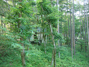 20080726_0010_thumb.jpg