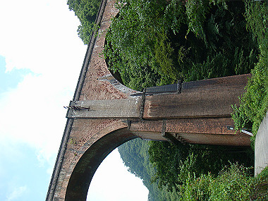 20080726_0110_thumb.jpg