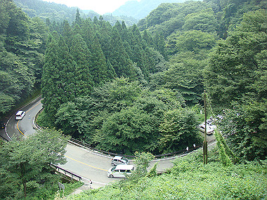 20080726_0260_thumb.jpg