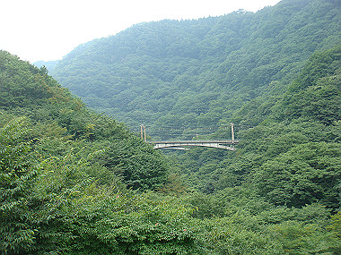 20080726_0270_thumb.jpg