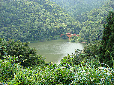 20080726_0400_thumb.jpg