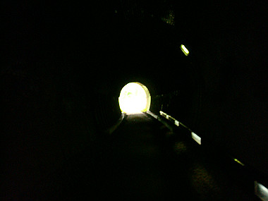 20080726_0480_thumb.jpg