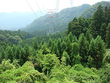 20080726_0500_thumb.jpg