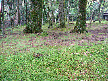 20080726_0990_thumb.jpg