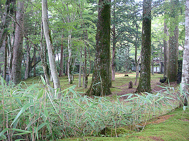 20080726_1000_thumb.jpg