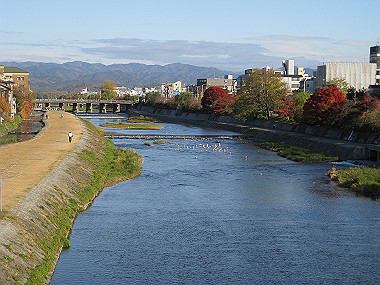 20081130_k300_thumb.jpg