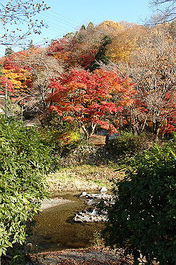20081130_k320_thumb.jpg