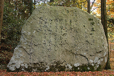 20081130_k382_thumb.jpg