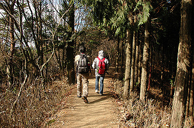 20081130_k434_thumb.jpg