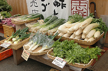 20081130_k451_thumb.jpg