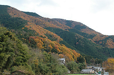 20081130_k489_thumb.jpg