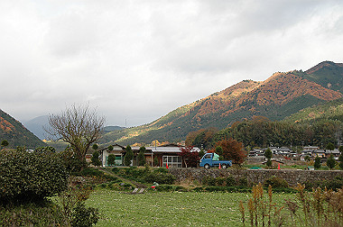 20081130_k499_thumb.jpg