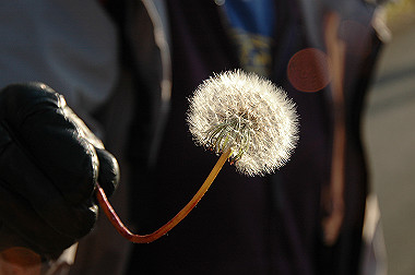20081130_k530_thumb.jpg