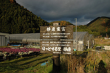 20081130_k574_thumb.jpg
